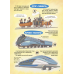 Книга Як це влаштовано: Залізниця. Хочу знати / Анна Васильцова, Вікторія Єфіменко (українською)