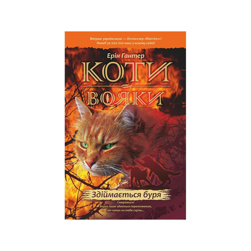 Світовий бестселер Книга Коти-вояки Здіймається буря 4 (м“яка обкладинка)