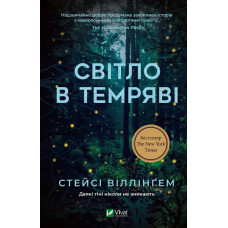 Книга Світло в темряві Віллінґем Стейсі Психологічний детектив