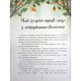 Книга Дуб трьох лісовиків. Г. Ткачук