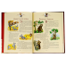 Казки Бабусині казки на добраніч / Анна Казаліс (українською)