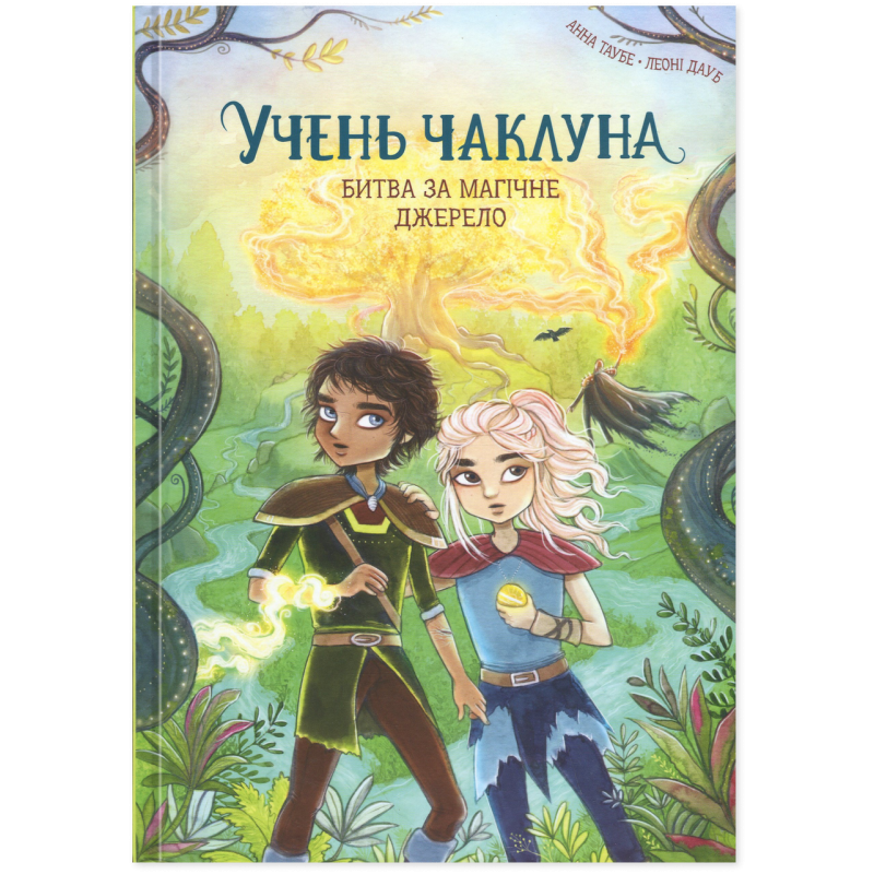 Книга Учень чаклуна. Битва за магічне джерело. Книга 4