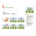 Готуємось до НУШ. Мій альбом для малювання. 4-5 років. Н. І. Юрченко (українською)